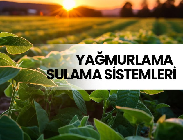 yağmurlama sulama sistemleri